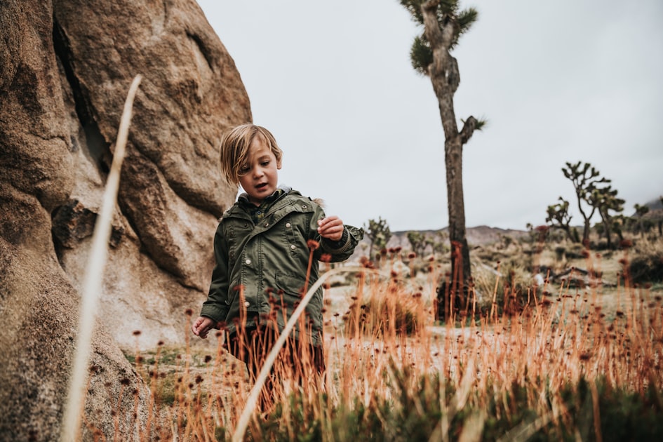 The Importance of Play in Learning